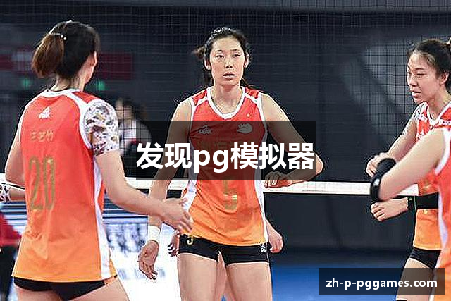 发现pg模拟器
